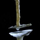 ���� Eric, ����, 61 ��� - ��������� 29 ������ 2016 � ������ �The beauties in the belly of the earth�