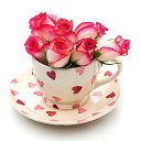 ���� ������, ������, 48 ��� - ��������� 13 ����� 2016 � ������ ���� ����������