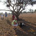 ���� �������, �������� - ��������� 29 ��� 2016 � ������ �������� 2016 ���