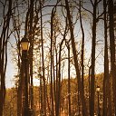 ���� ������, ������, 40 ��� - ��������� 10 ���� 2016 � ������ ����������� ��� ����� )�