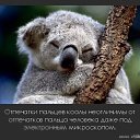 ���� �������, �������, 47 ��� - ��������� 30 ������� 2016 � ������ ����������� ������