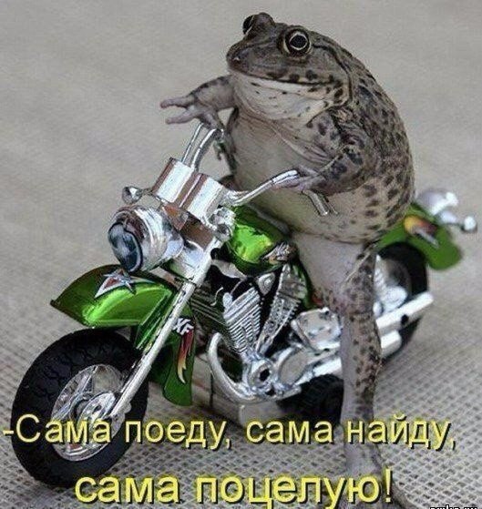   !