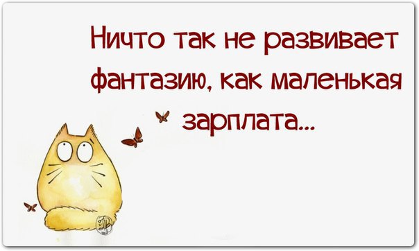   - 5  2016  15:08
