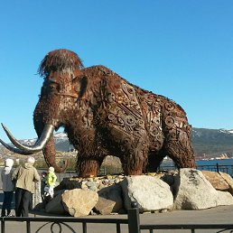 �����, �����������, 40 ���