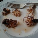 ���� �����, �����������, 45 ��� - ��������� 27 ���� 2016 � ������ ���� ����������