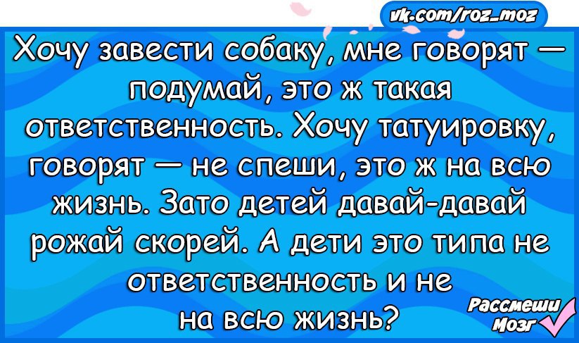  - 13  2016  18:15