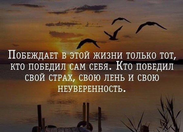 BEST | , ,  - 8  2016  23:39