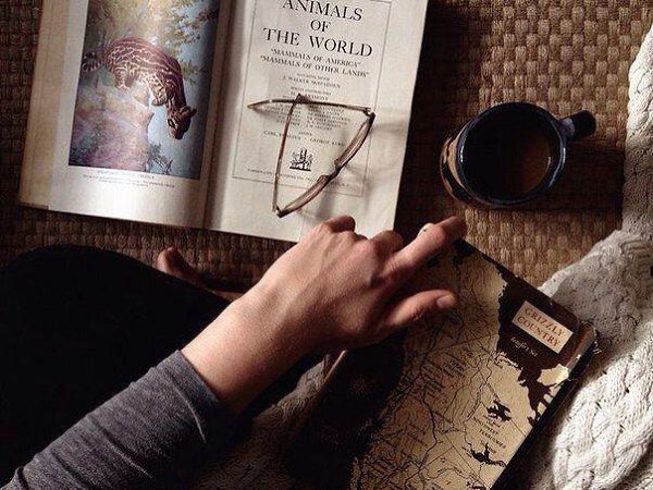 Дисциплина - это решение делать то, чего очень не хочется делать, чтобы достичь того, чего очень ...