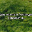 ���� ��������, ������, 45 ��� - ��������� 16 ������� 2016 � ������ ������ ��������