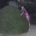 ���� ���������, ��������� - ��������� 31 ���� 2016 � ������ ���� ����������