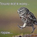 ���� �����, ������� - ��������� 8 �������� 2016 � ������ ���� ����������