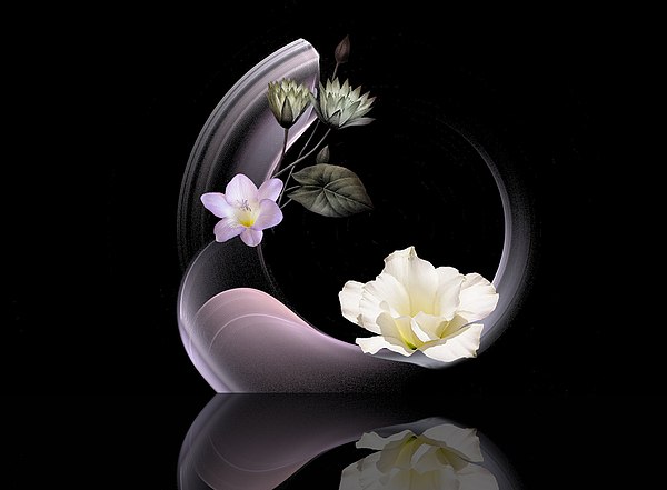    : ,   ...,   ...,   ...
