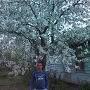 ���� ������, ���������, 43 ���� - ��������� 19 ������ 2016 � ������ ���� ����������