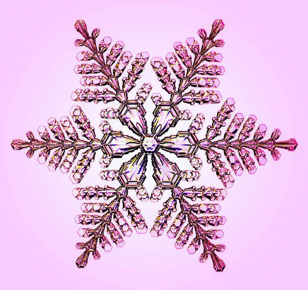    - 6