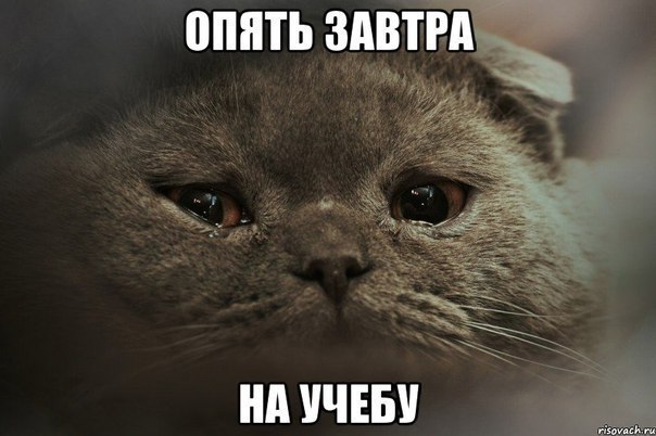    :D - 20  2016  15:39