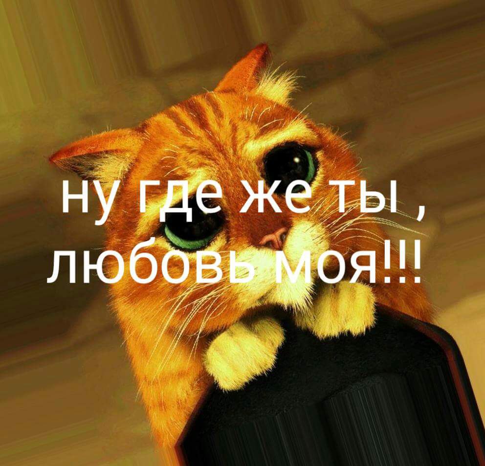   - 12  2016  02:17