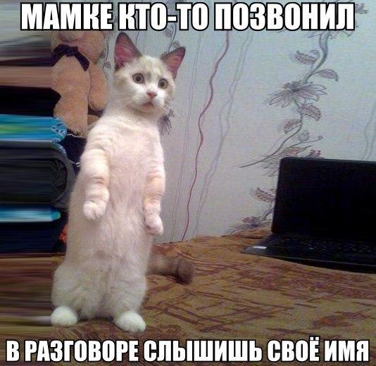 ? ,  ! - 1  2016  23:52