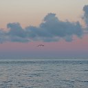  , , 60  -  26  2016    ,22-23.04.16.  