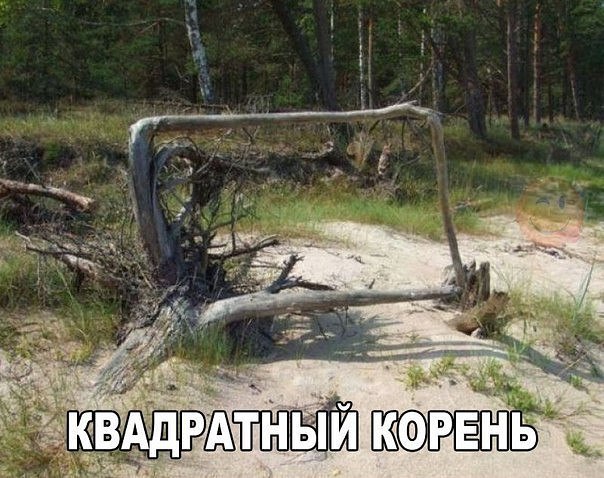  - ,  - 1  2016  17:29