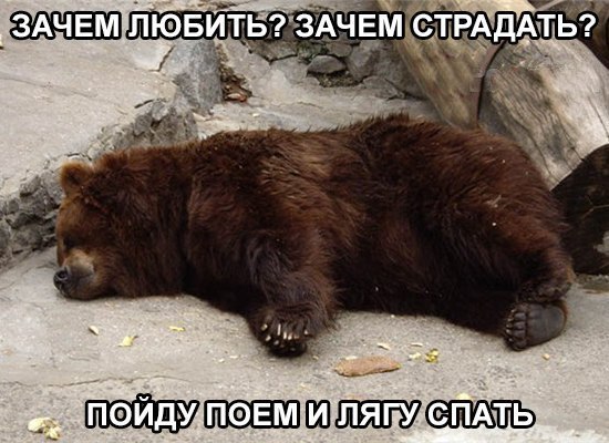    :D - 26  2016  10:36