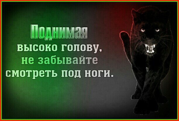 Не высоко. Пословица высоко взлетел больно падать. Не Взлетай высоко больно будет падать. Поговорка больно падать. Пословица высоко взлетел.