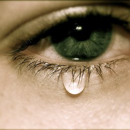 ���������, ��������