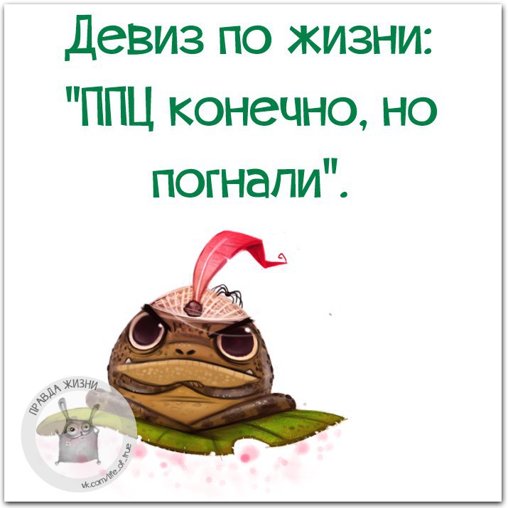   - 9  2016  16:19