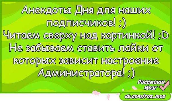 Анекдот Дня! Идет экзамен. Профессор: На борту самолета 500 кирпичей. Один кирпич выпал из самолета. ...