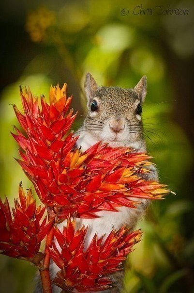 ������� �������� �������� �� �������� - 5