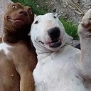 ���� ������, �����, 31 ��� - ��������� 13 ����� 2016 � ������ ������ ��������