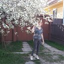 ���� ������, ����� - ��������� 9 ��� 2016 � ������ ���� ����������