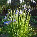 ���� ���������, ��������, 69 ��� - ��������� 3 ���� 2016