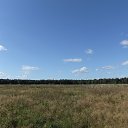 ���� ��������, ���������, 52 ���� - ��������� 29 ������� 2016 � ������ ���� ����������