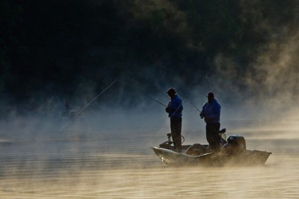 �������� ����������: - ���� � ��� �����-������ ���� ������ ���������? ������� ������� � ����������� ...