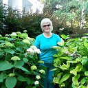 ���� �����, �������, 63 ���� - ��������� 8 ���� 2016 � ������ ���� ����������