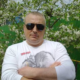 Vvik, ��������