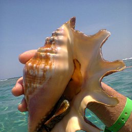 ���� ������, ������, 67 ��� - ��������� 27 ������ 2016