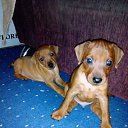 ���� �������, �����-���������, 62 ���� - ��������� 17 ��� 2016 � ������ ���� ����������