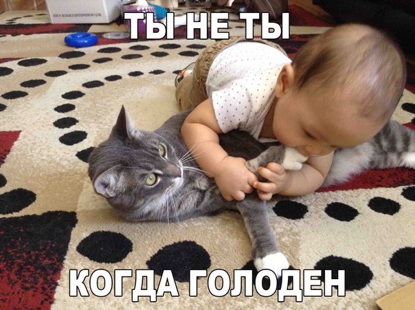 Смейся до слёз :D - 10 июня 2016 в 09:05