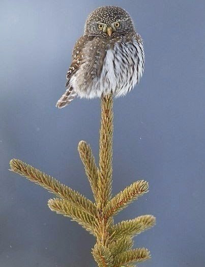   - 27  2016  07:04 - 6