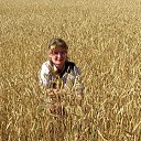 ��������� ����, ������ �� ������� ���� ����������