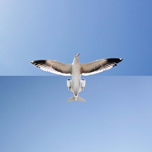 �������� ������ ��������� ��� ������ � �������� ��������� ������ ��������� - 2