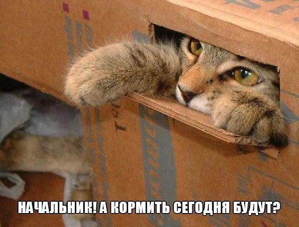 Luchik - 19  2016  09:37