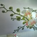 ���� �����, ������, 55 ��� - ��������� 23 ������ 2016 � ������ ���� ����������