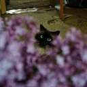 ���� � ������!!! �� ������� ���� ����������