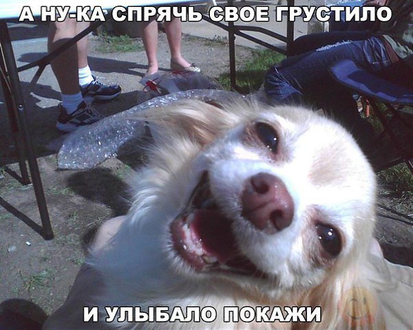    :D - 9  2016  07:30