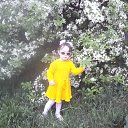  ,  , 70  -  25  2016    