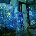 ���� Nathalie, �����-����� - ��������� 1 ������ 2016 � ������ ������ ��������