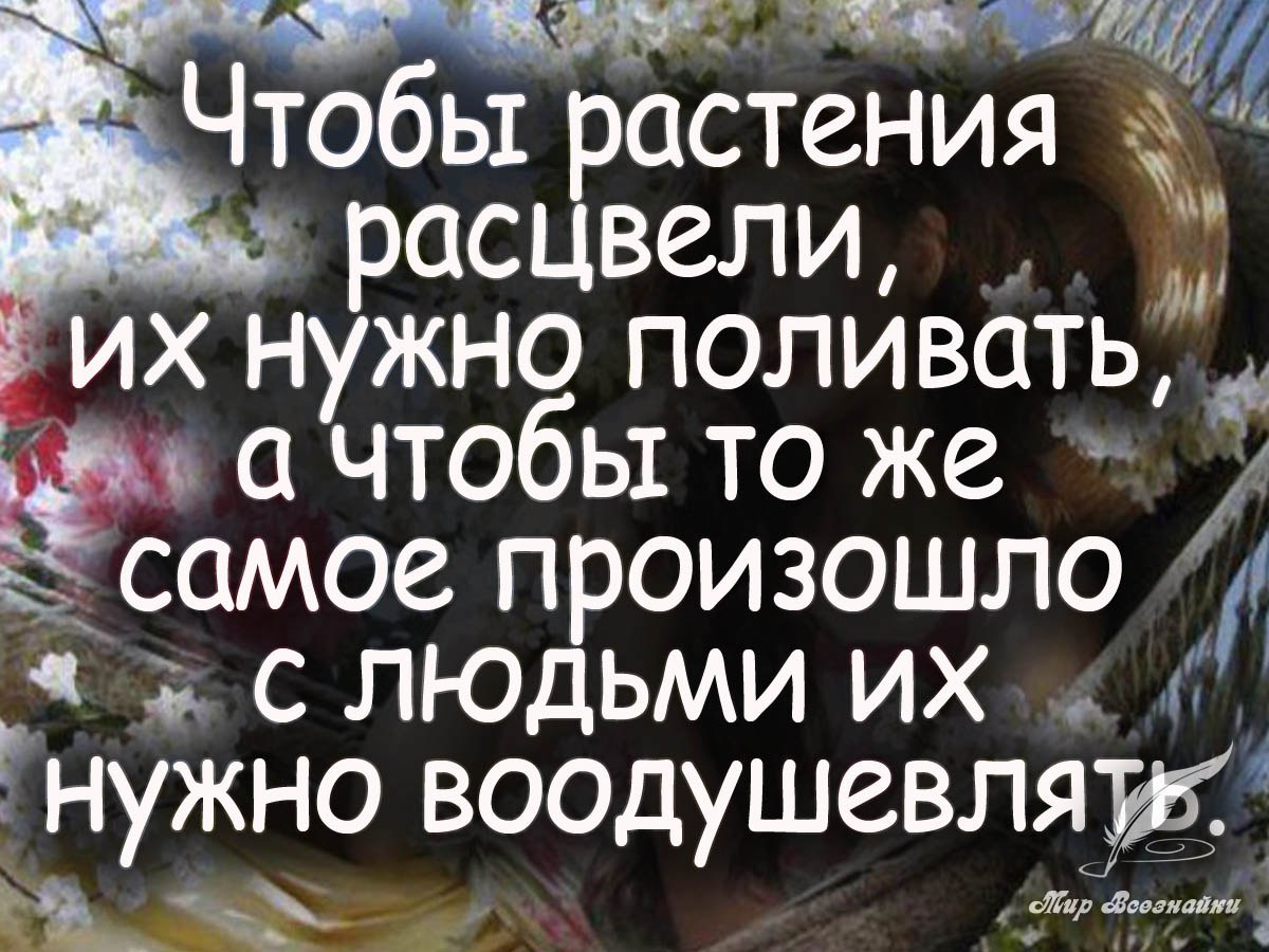        ,      - <a href=