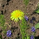 ���� Eduard, ������, 50 ��� - ��������� 15 ������� 2016 � ������ ���� ����������